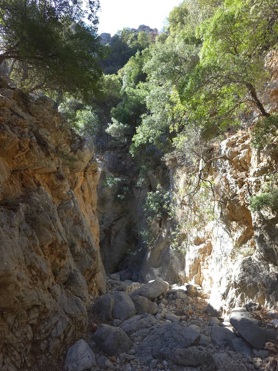 Ancient Minoan Path Loop