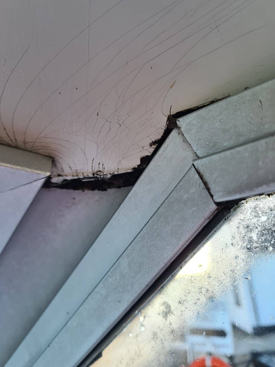 Modern & Eco-Friendly Boats