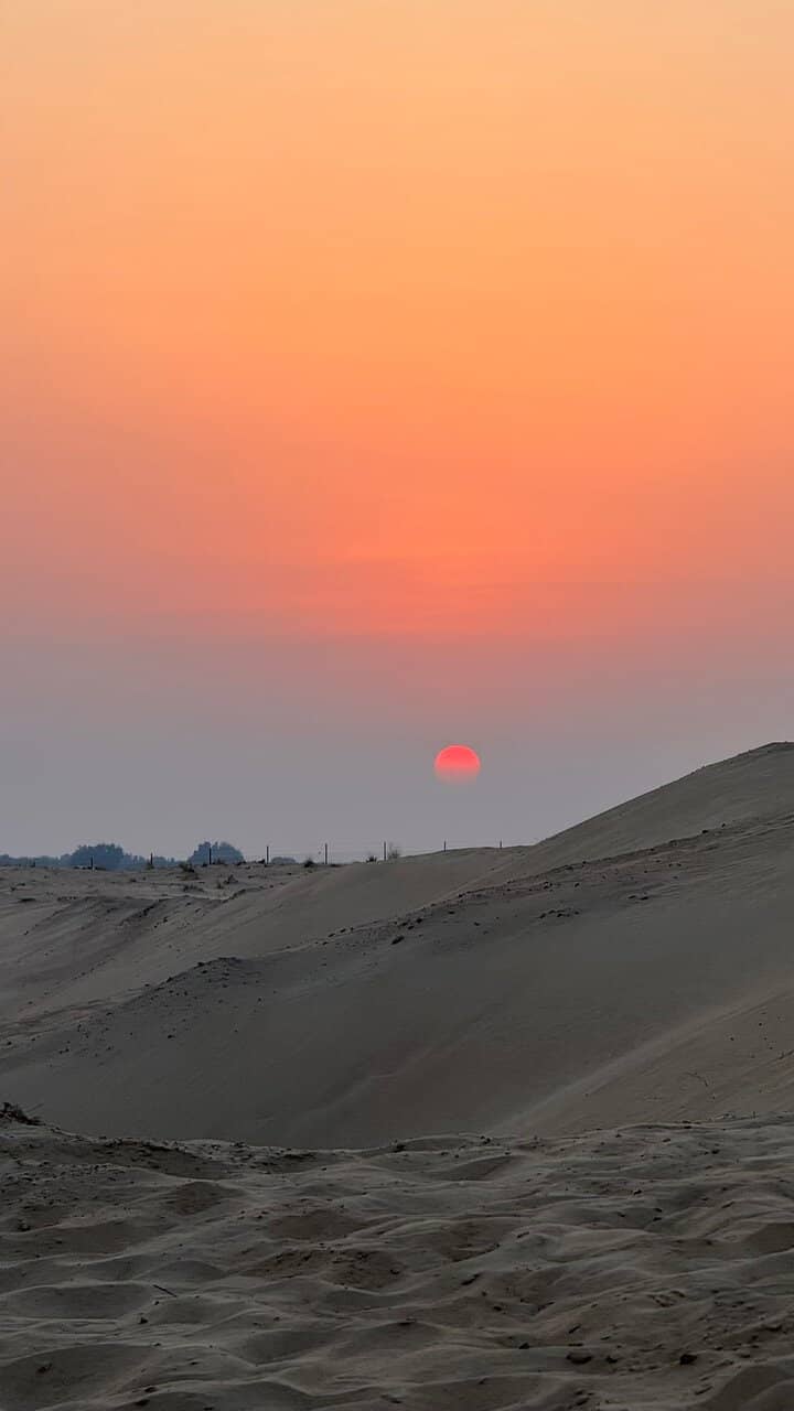 Thrilling Desert Activities