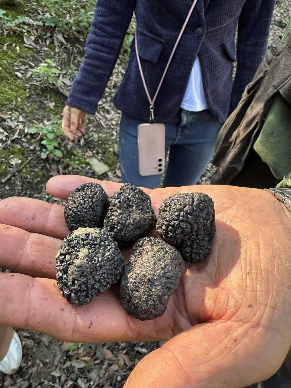 Cellar Tour & Villa History