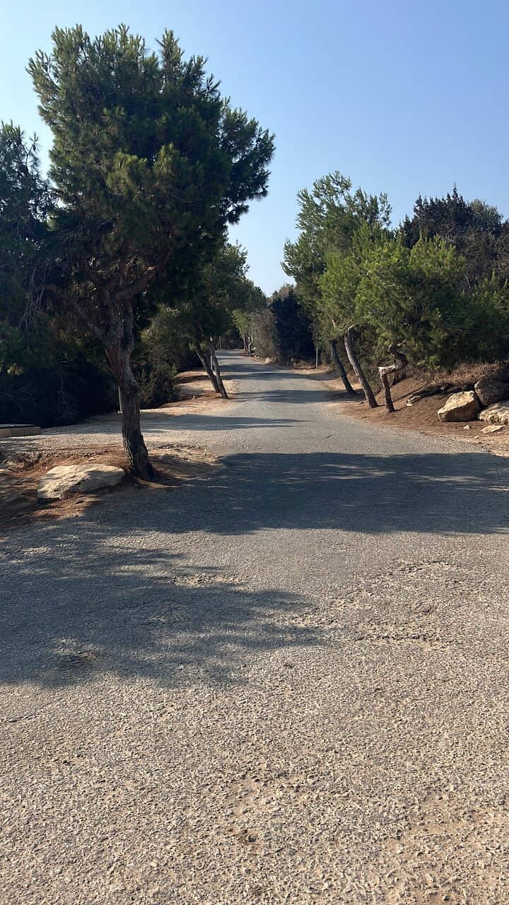 Coastal Trail to Turtle Beach