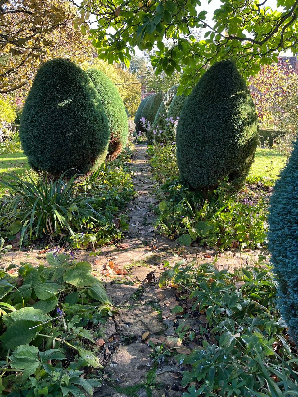 Festival of Snowdrops