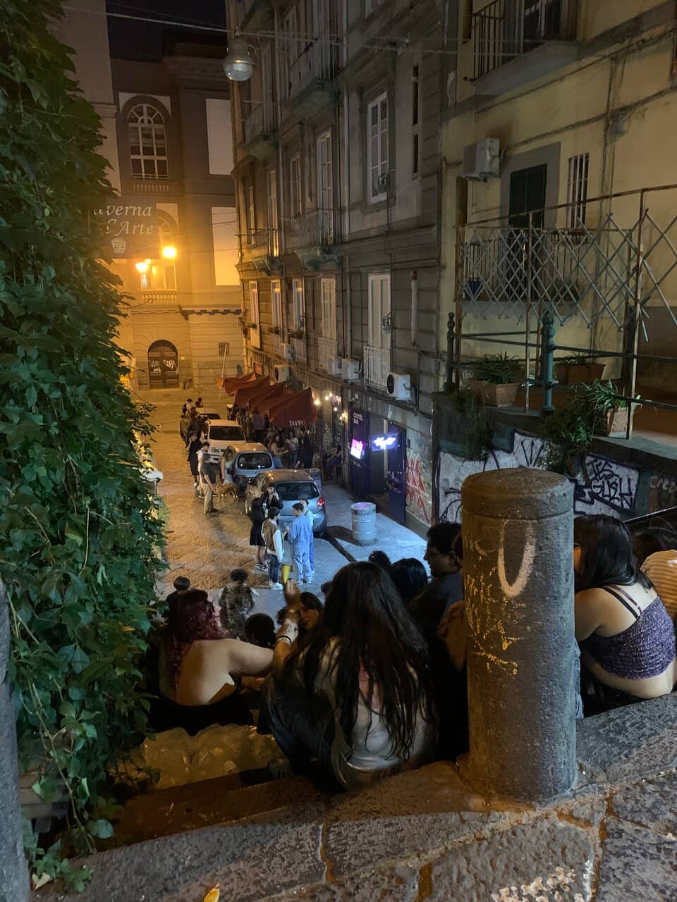 Curated Wine Selection