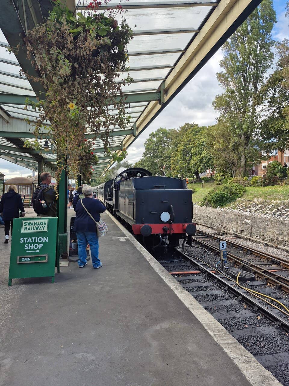 Volunteer Enthusiasm