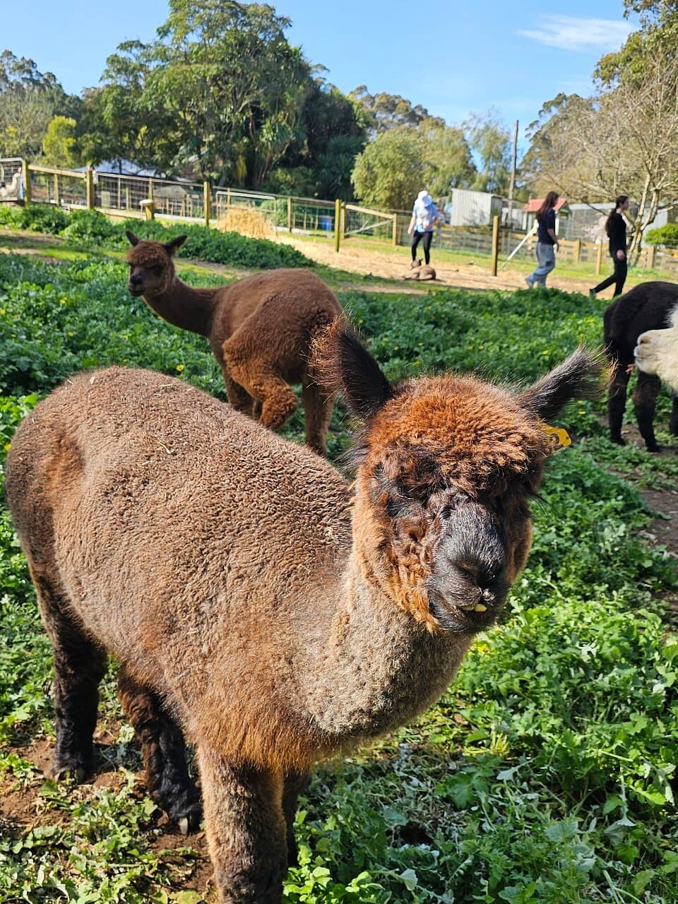 Interactive Feeding Stations