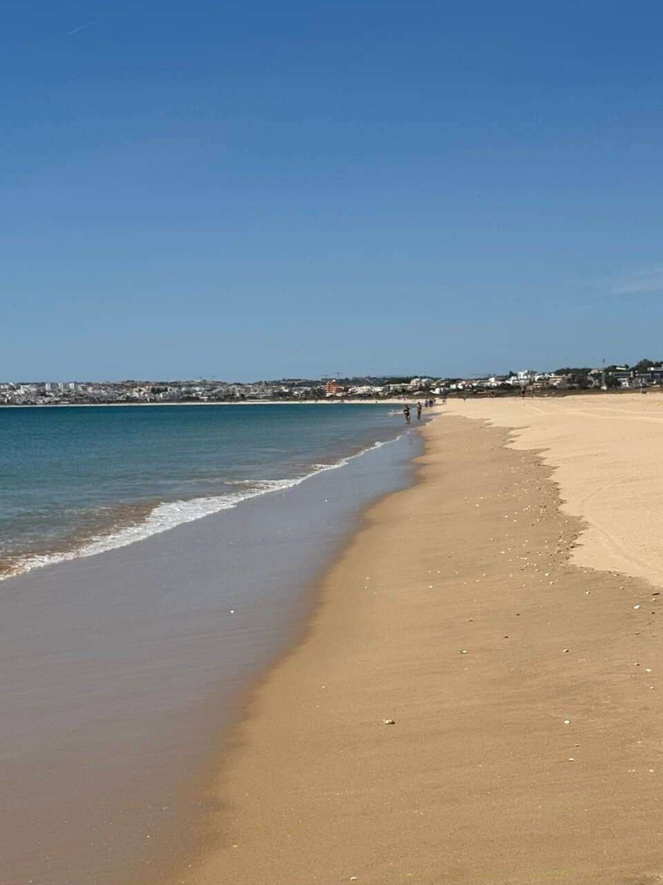 Expansive Golden Sands