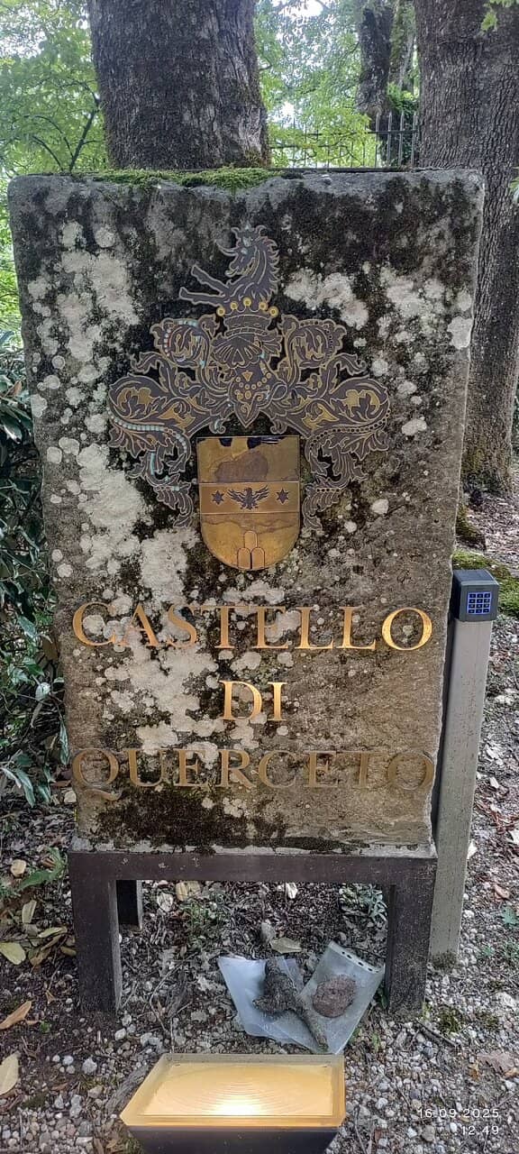 Medieval Castle Grounds