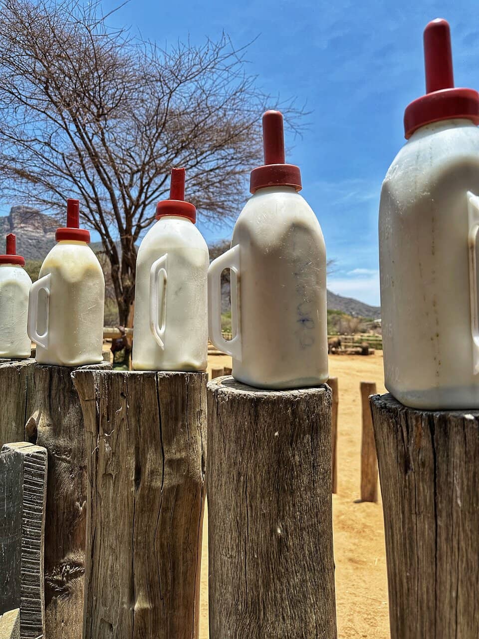 Conservation Insights