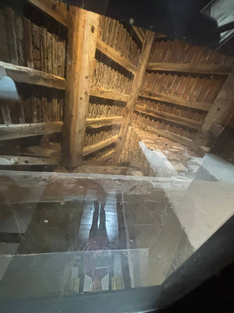 Interactive Displays & Activities