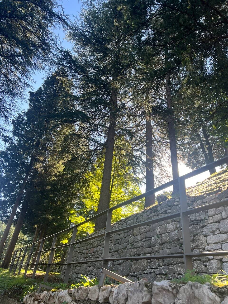 Panoramic Dolomites Views