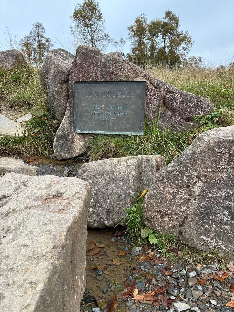 Winterberg Heathland