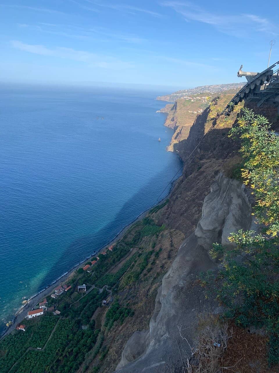 Lush Banana Plantations