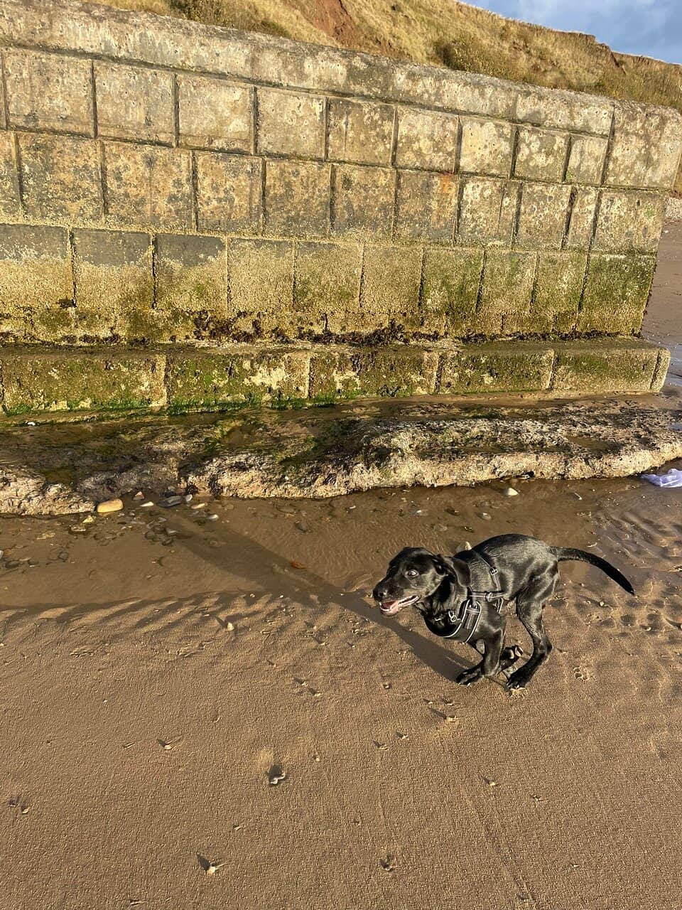 Sculpture-Dotted Promenade