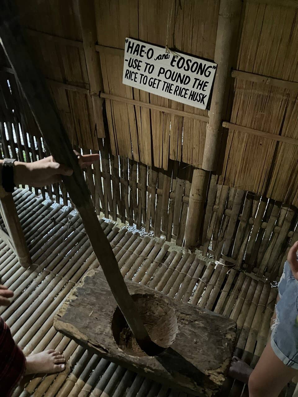 Traditional Farming Immersion