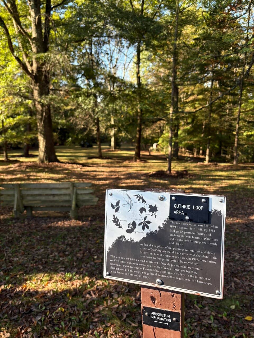 Labeled Native Trees