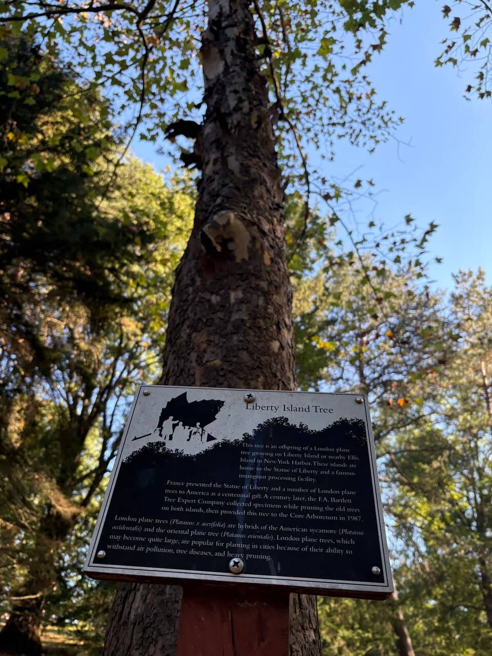 Scenic Hiking & Biking Paths