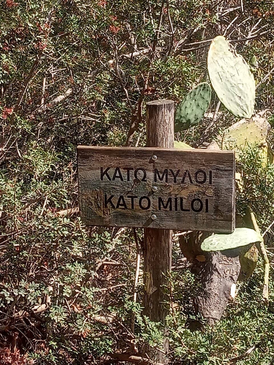 Abandoned Water Mills