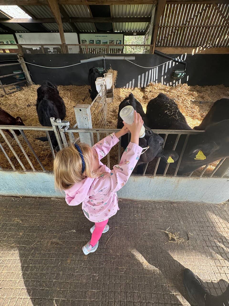 Tractor Trailer Ride