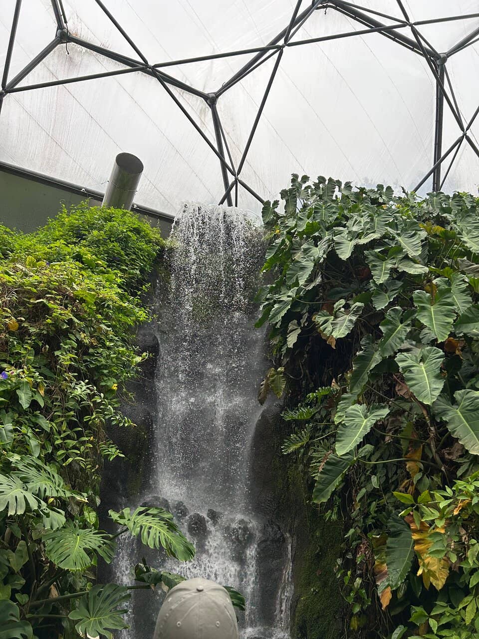Mediterranean Biome
