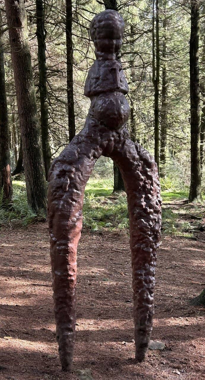 Scenic Woodland Walks