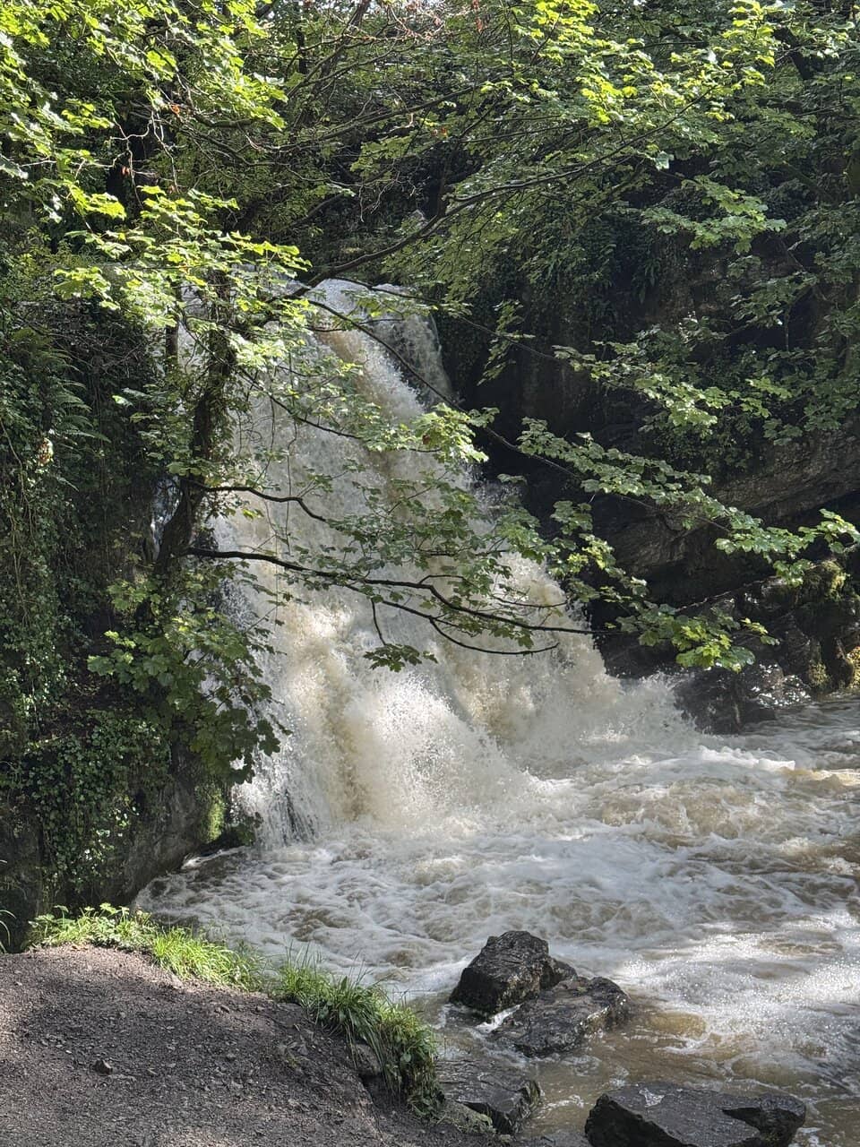 Vertical photo