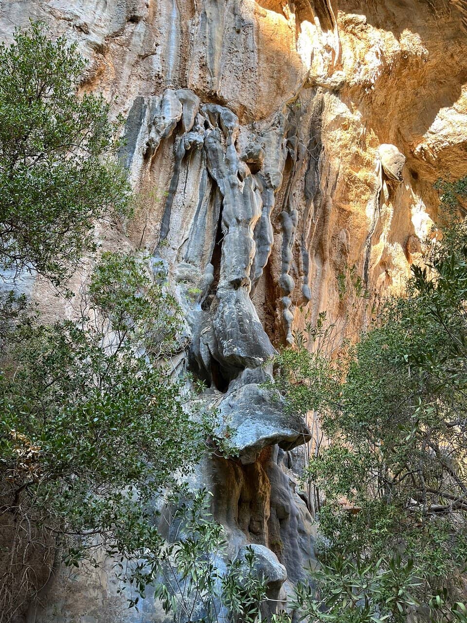 Vertical photo