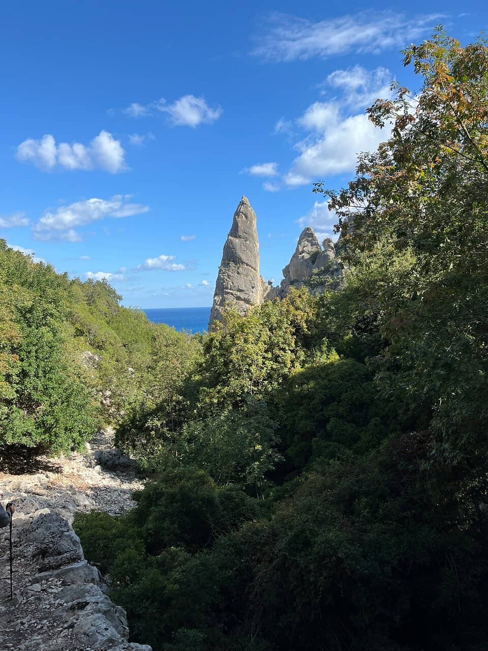 Vertical photo