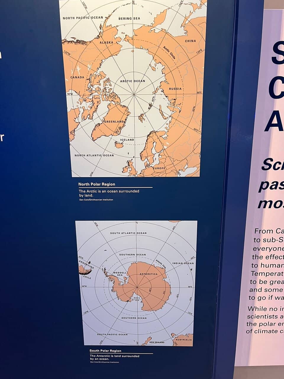 Human Evolution Exhibits