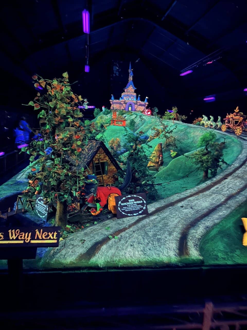 Live Music Performances