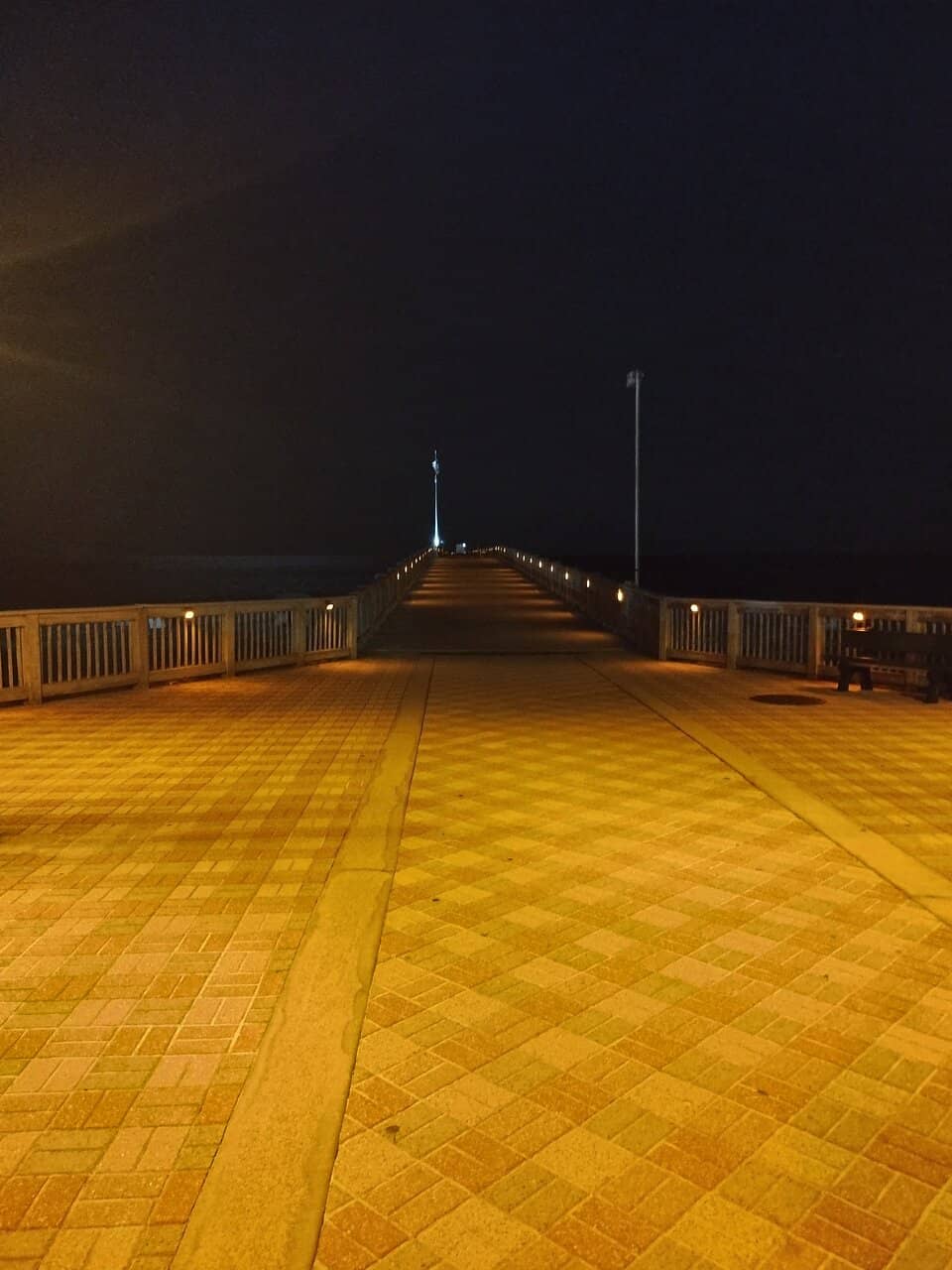 Dolphin & Pelican Sightings