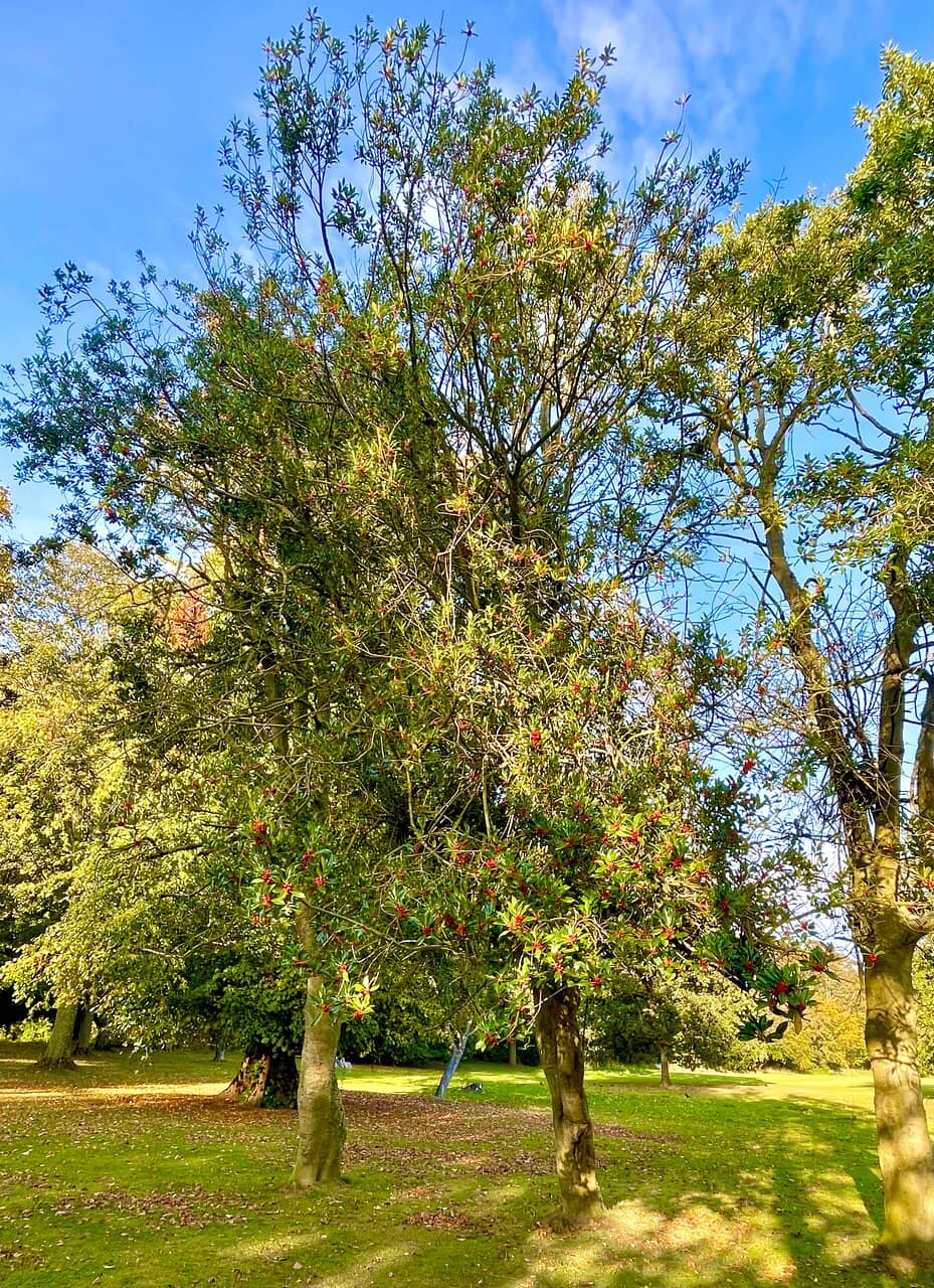 Children's Play Area