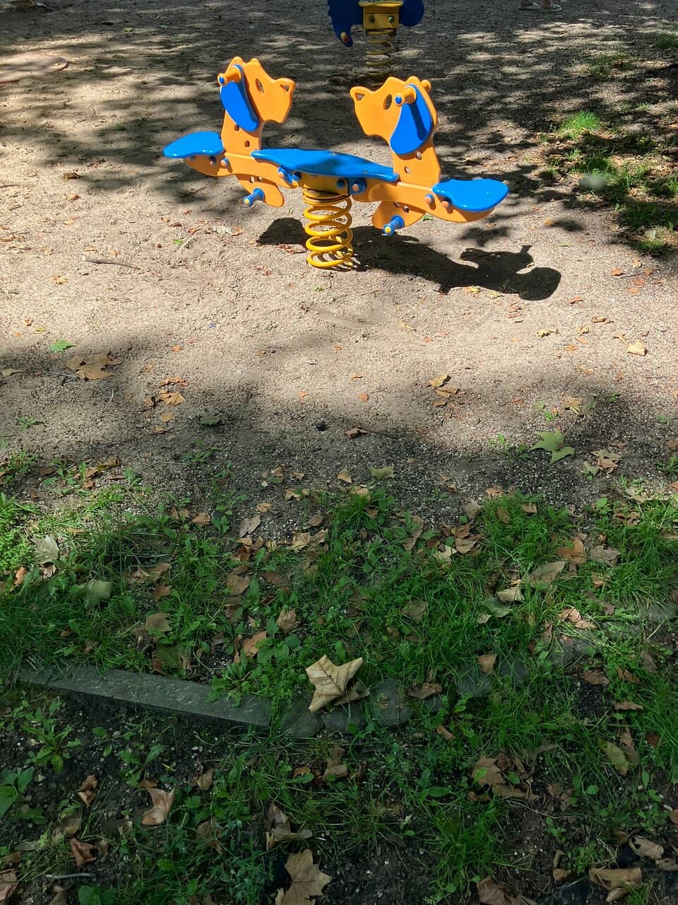 Vibrant Market Scenes