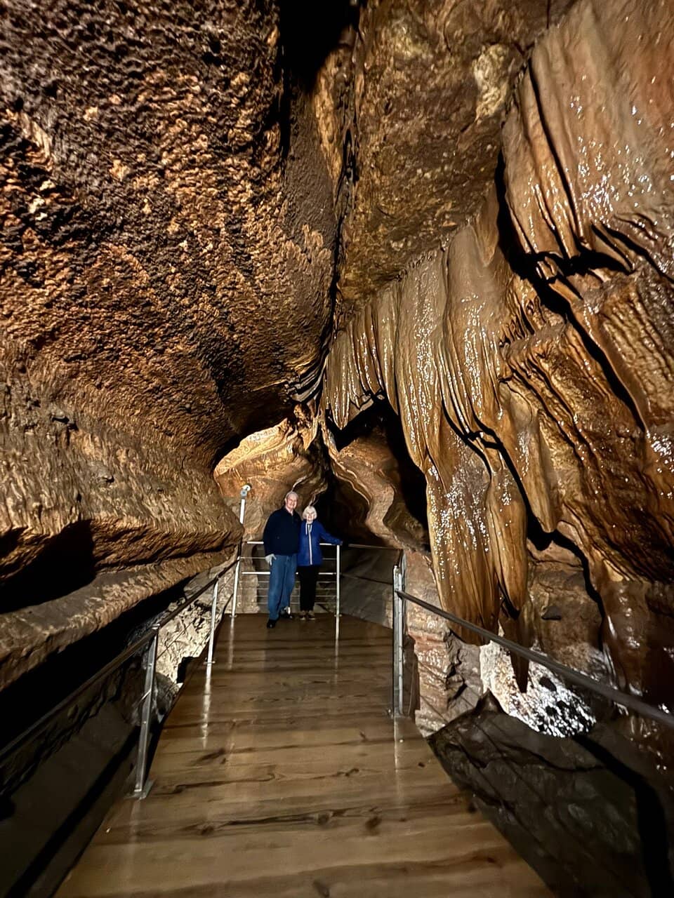 Fossils of Ancient Life