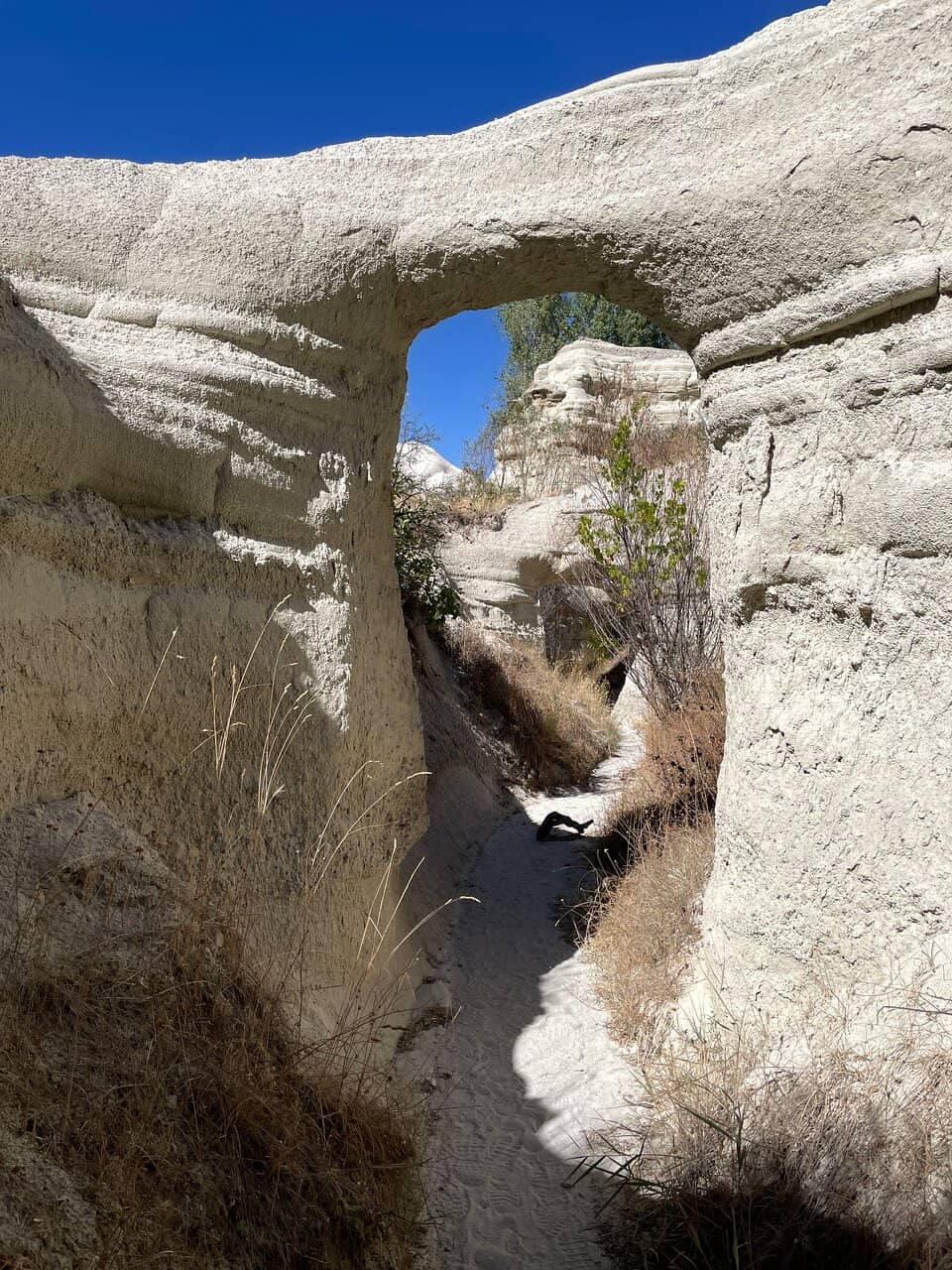 Hot Air Balloon Spectacle
