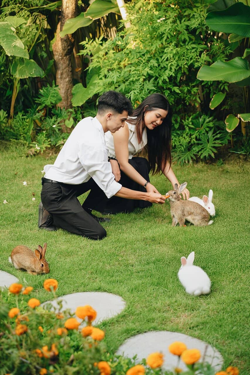 Interactive Fish Feeding