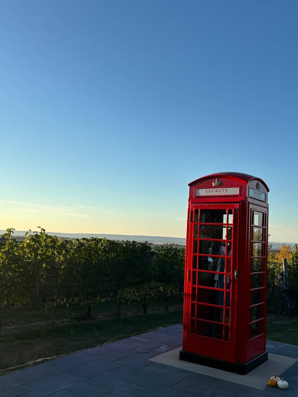 Exceptional Food Offerings