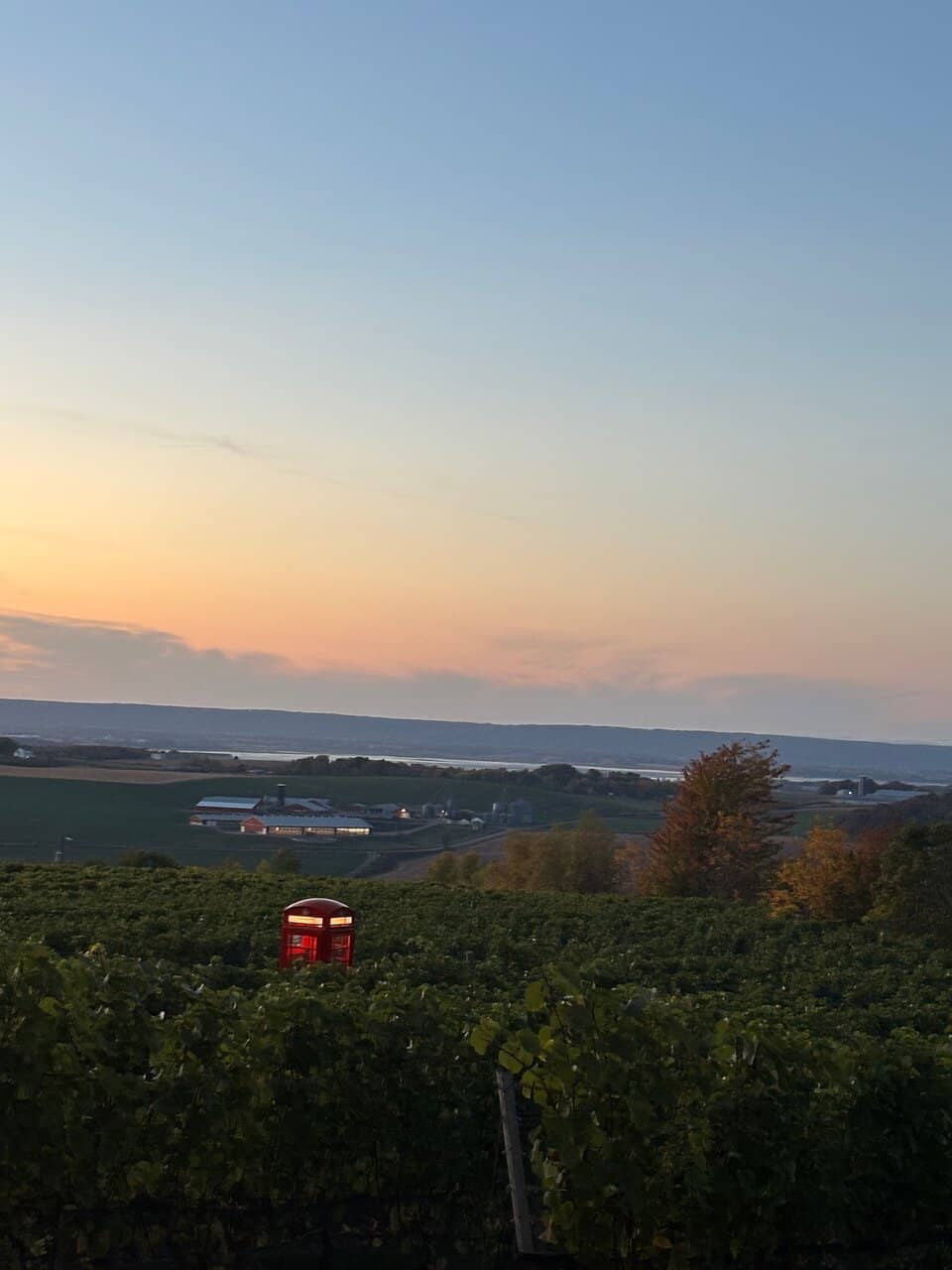 Breathtaking Vineyard Views