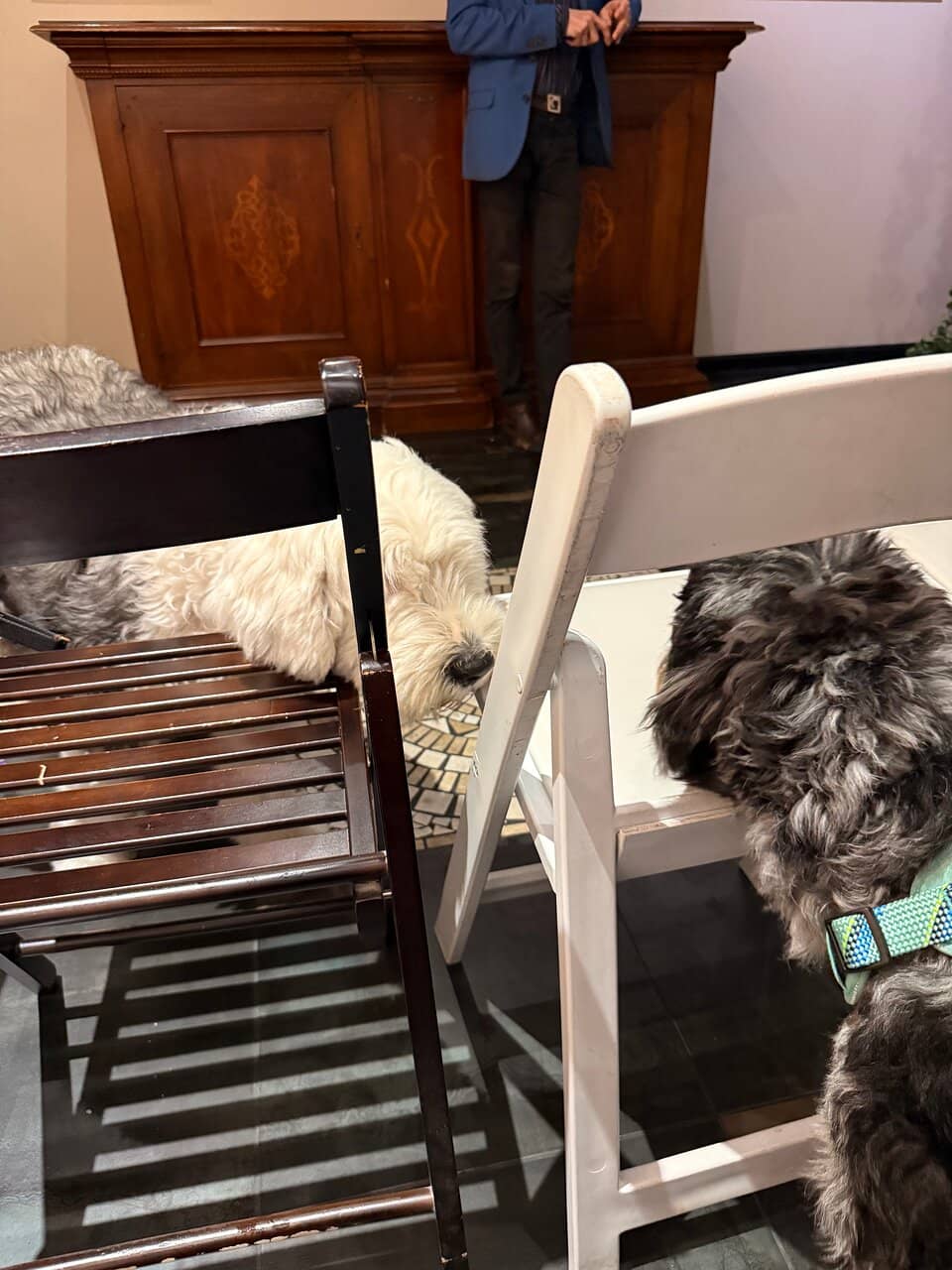 Authentic Memorabilia