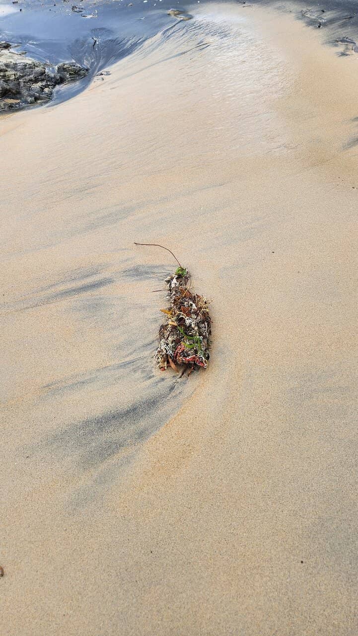 Beachfront Dining & Bars