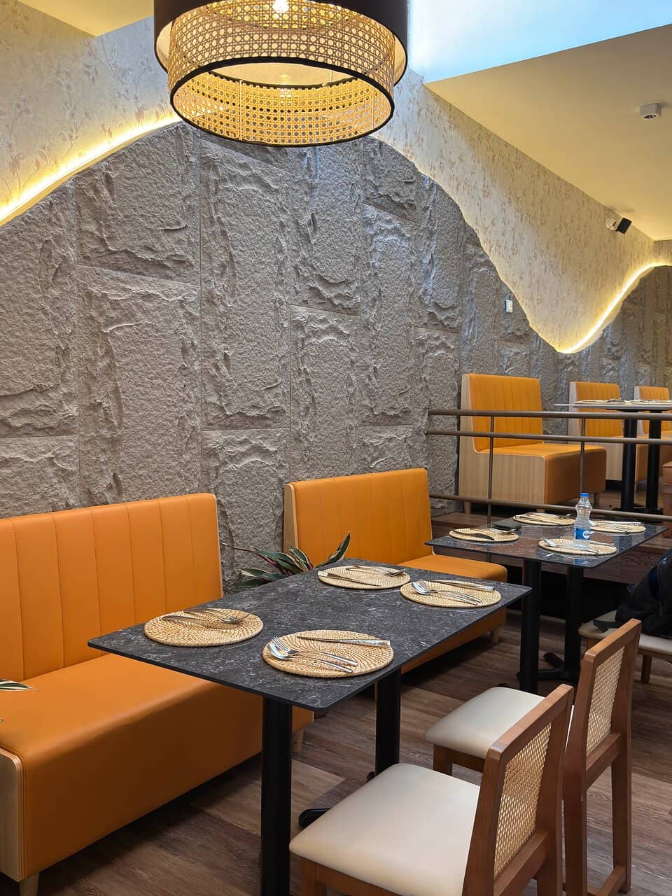 Flavorful Chicken Cheese Fries