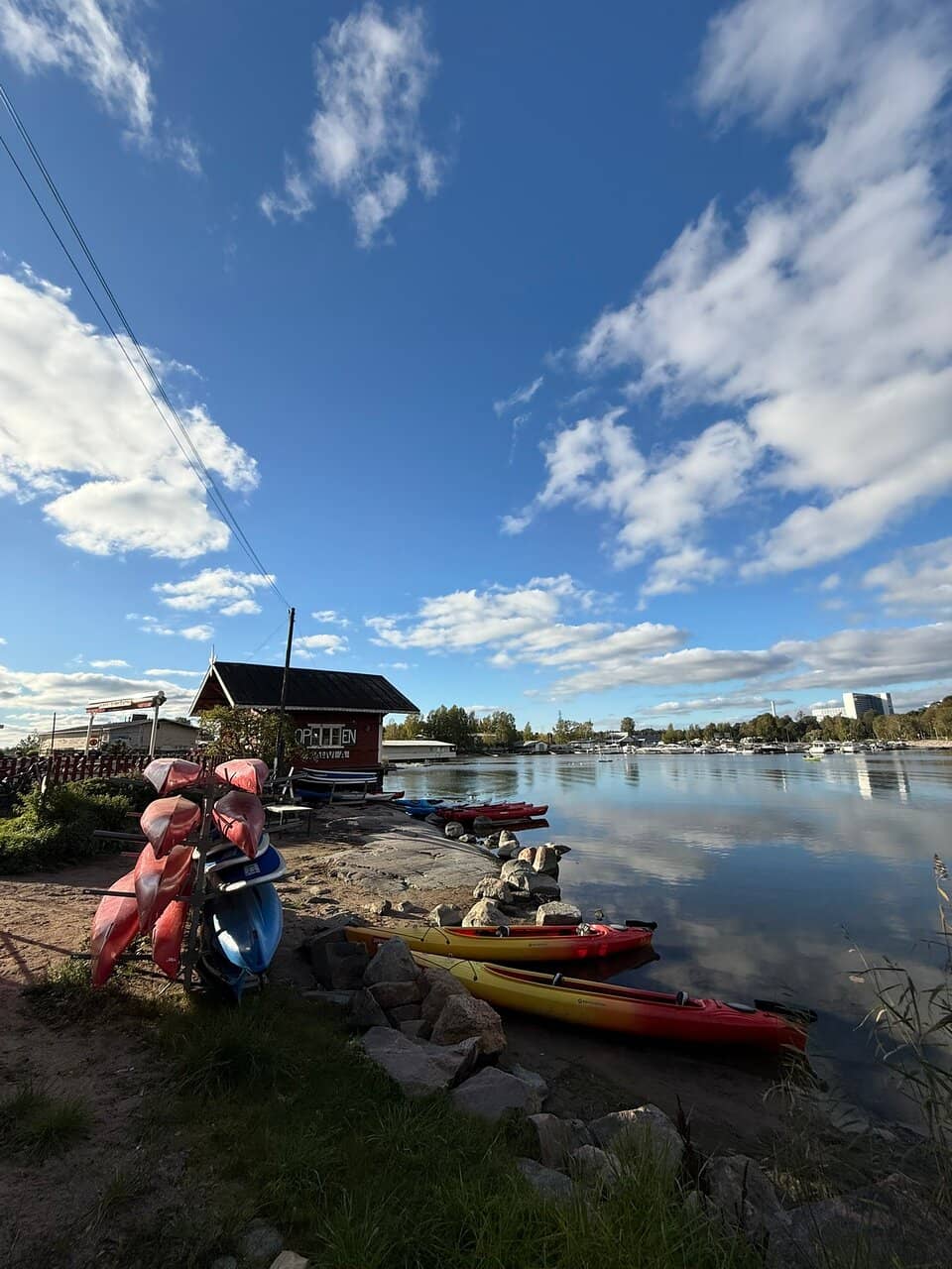 Signature Cinnamon Buns