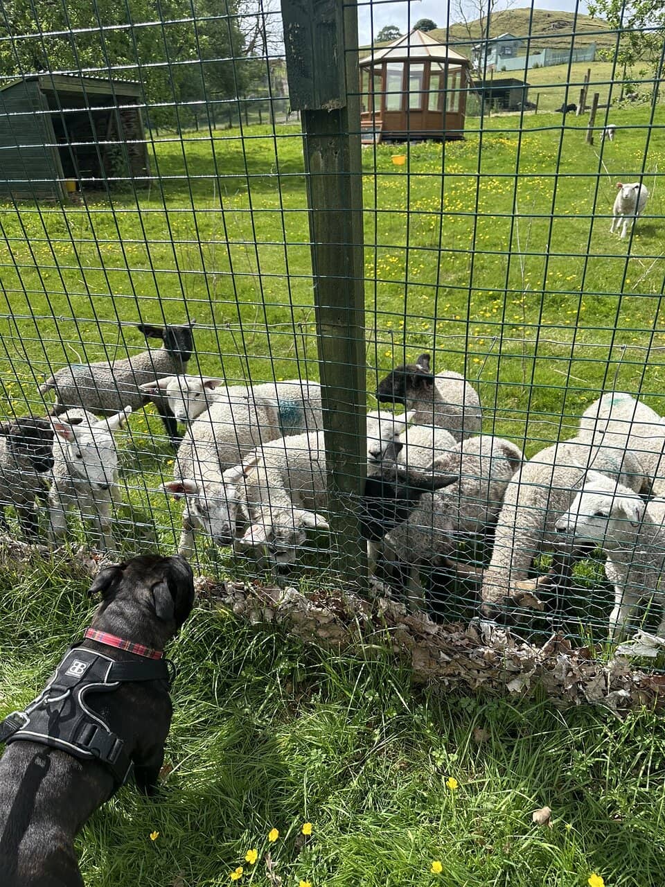 Spooktacular Halloween Trail