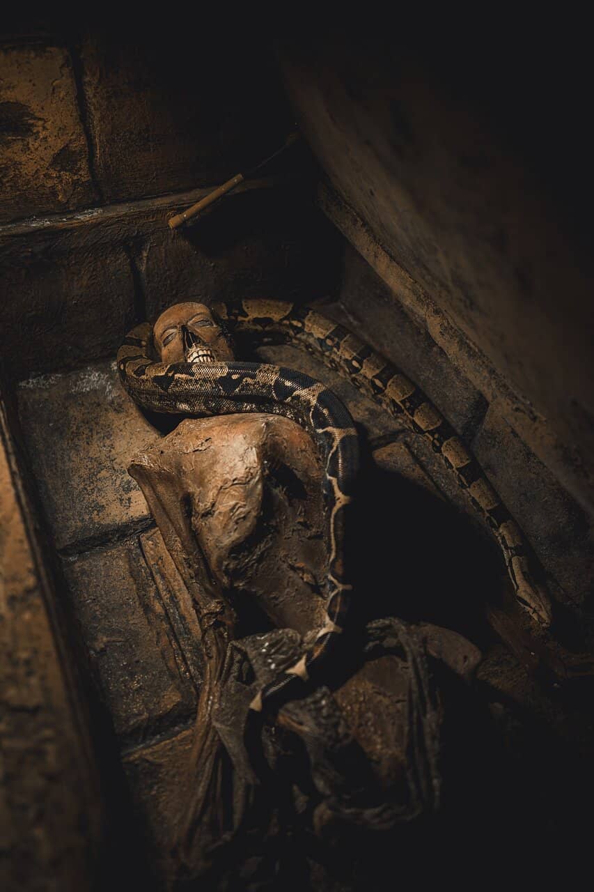 Award-Winning Sourdough Pizza