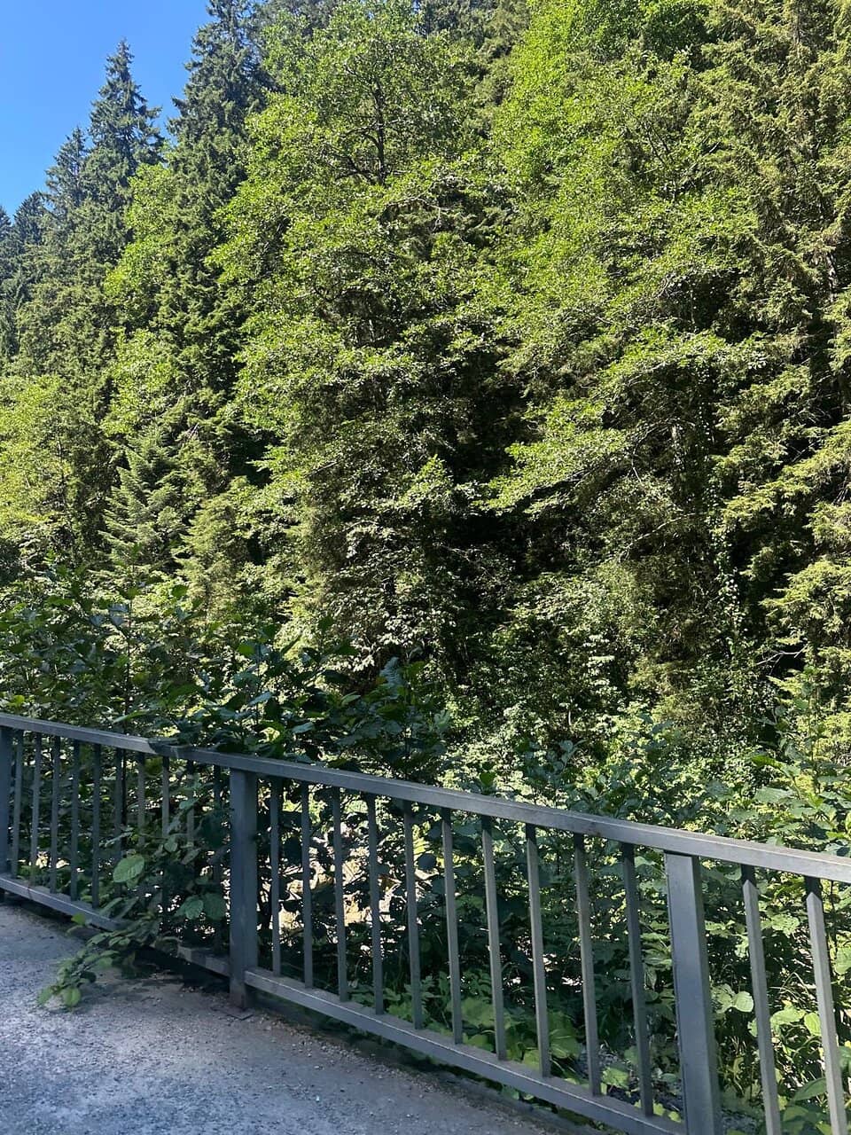 Altındere Valley Scenery