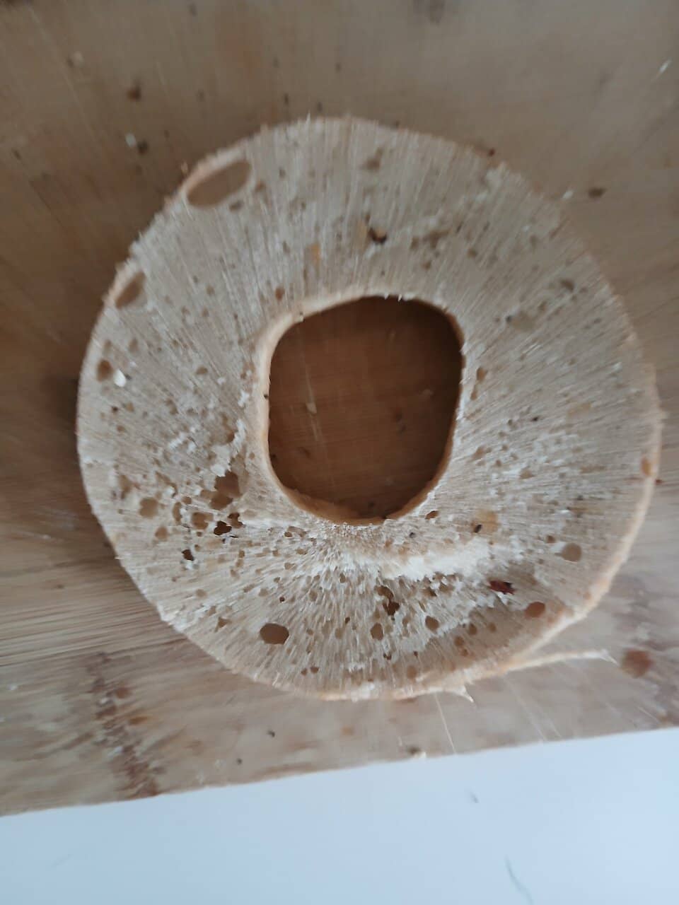 Scenic Outdoor Seating