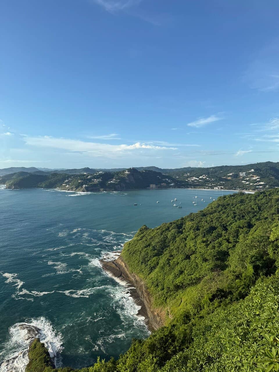 Turtle Nesting Grounds