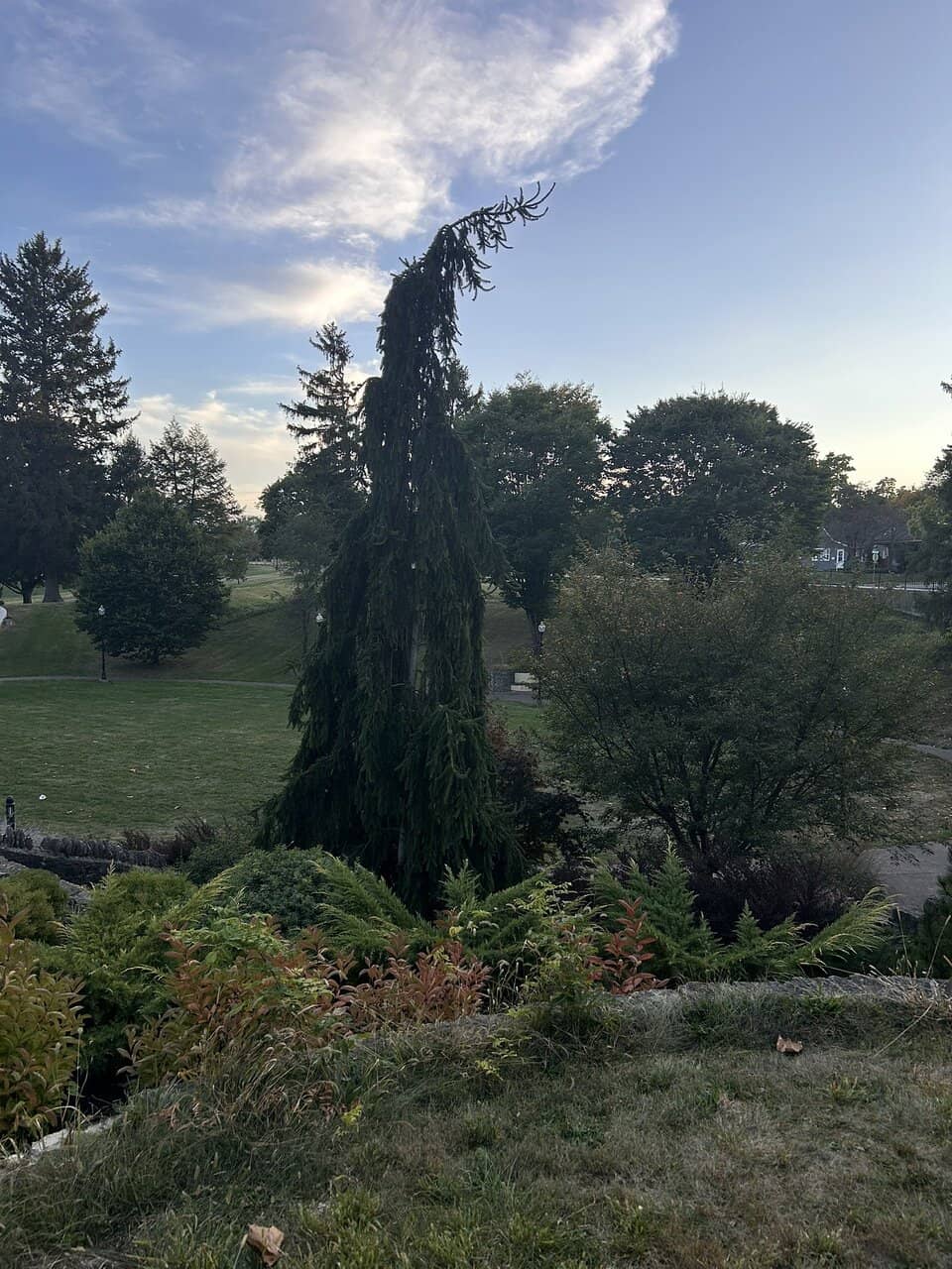 Community Playground