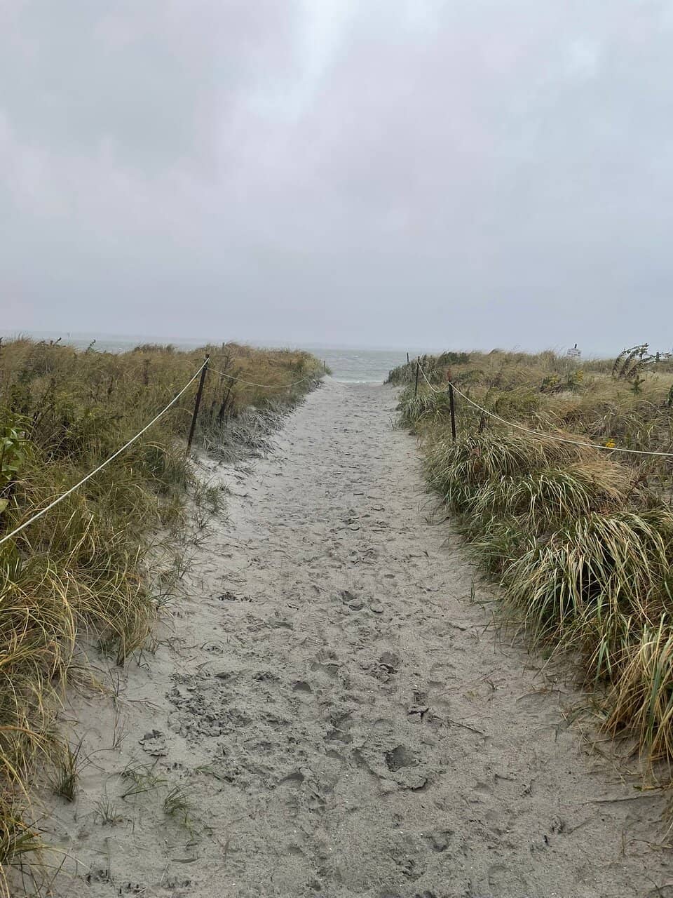 Ocean Views & Tide Pools