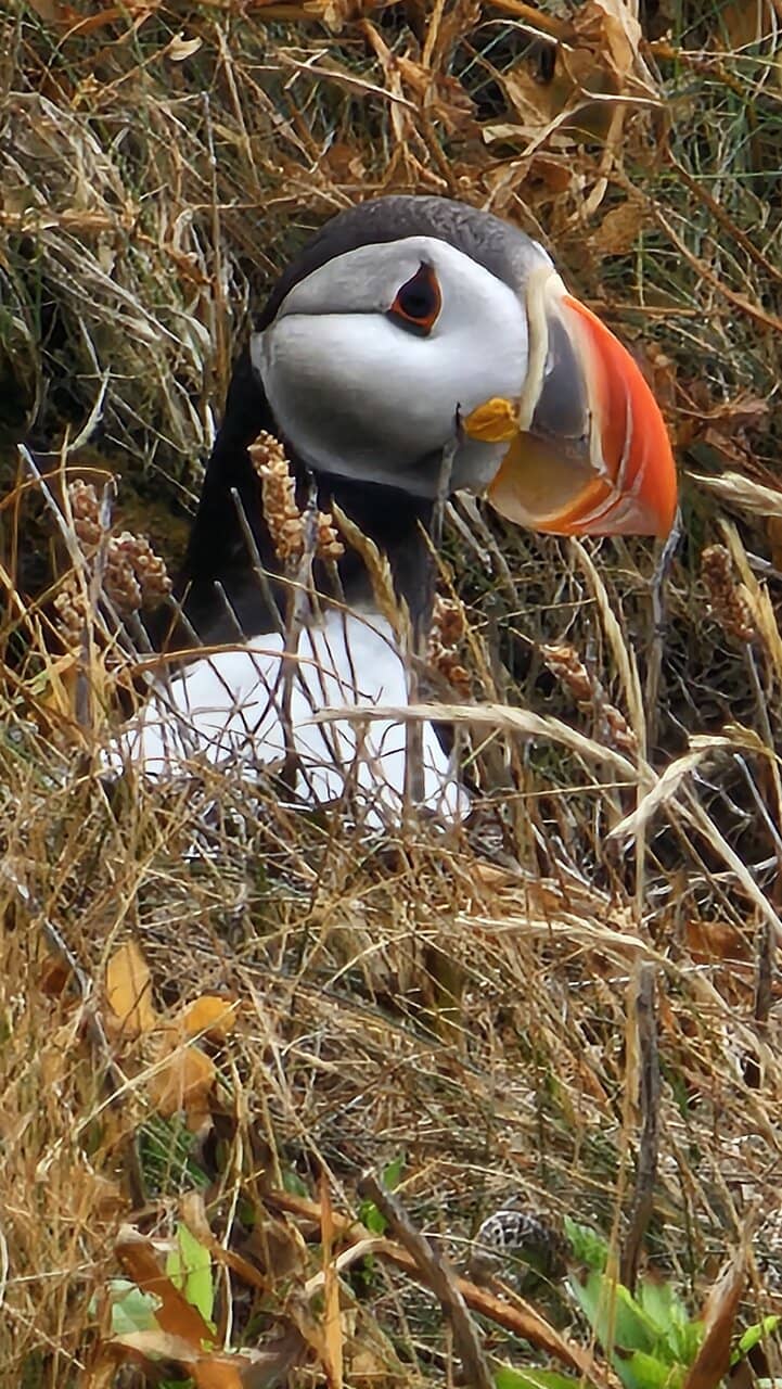 Stunning Coastal Views