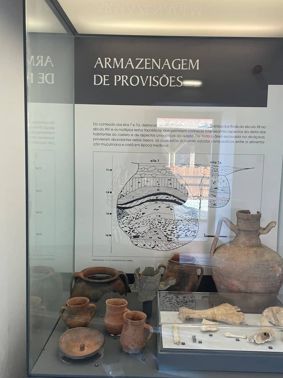 Free Entry & Parking